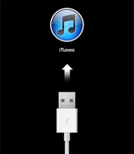 iPhone просит iTunes