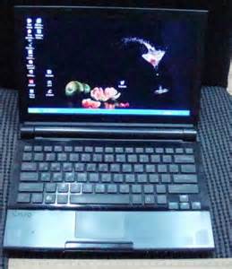 Ремонт ноутбука Sony VGN-TZ3RMN Полоса на матрице