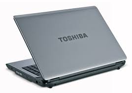 Ремонт ноутбука toshiba Satelite L355 При при просмотре