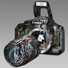 Ремонт фотоаппарата Canon D450 Не работает авто